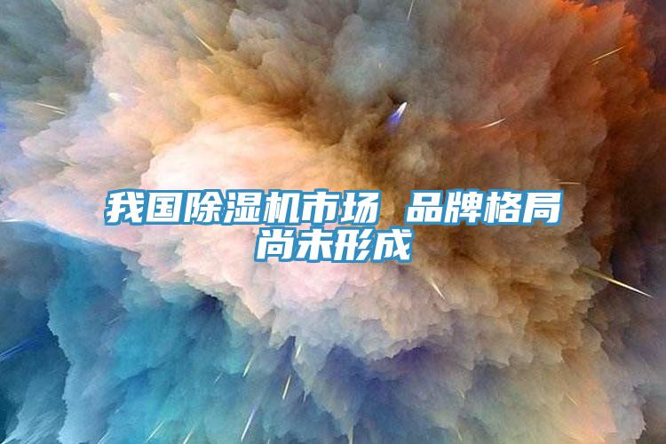 我國(guó)除濕機(jī)市場(chǎng) 品牌格局尚未形成