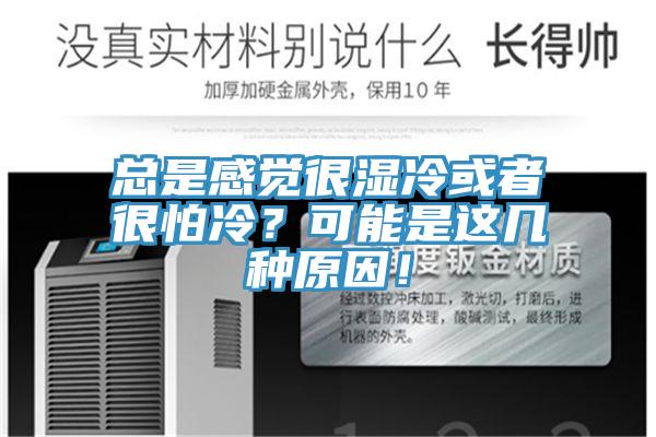總是感覺很濕冷或者很怕冷？可能是這幾種原因！