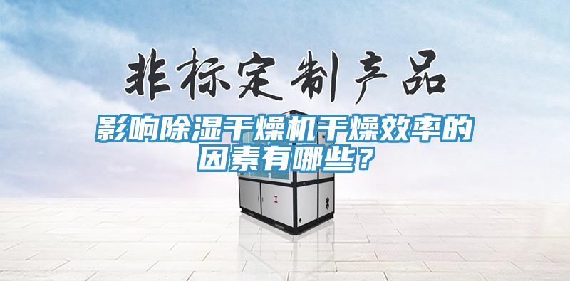 影響除濕干燥機(jī)干燥效率的因素有哪些？