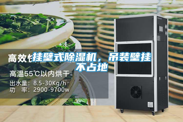 掛壁式除濕機，吊裝壁掛不占地