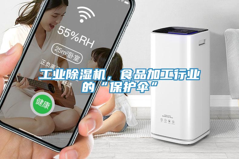 工業(yè)除濕機(jī)，食品加工行業(yè)的“保護(hù)傘”
