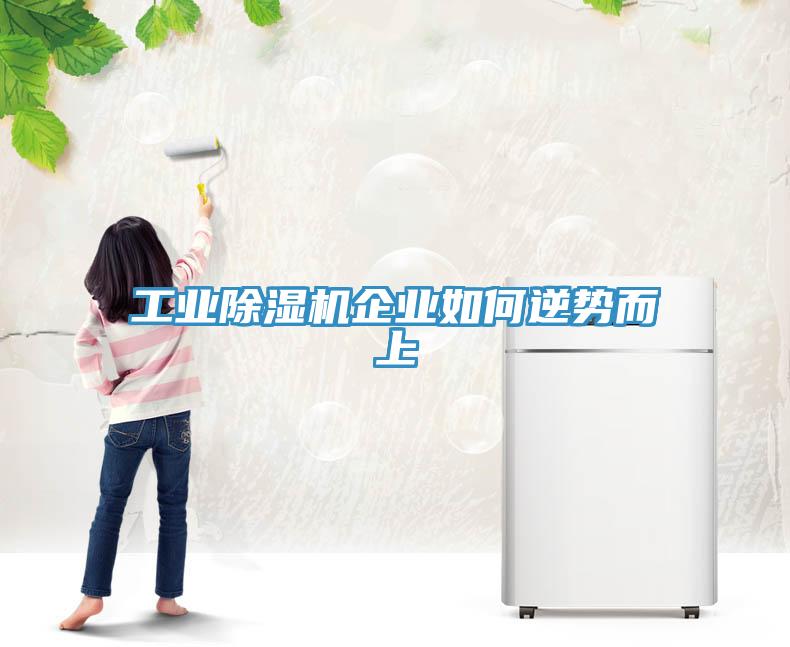 工業(yè)除濕機(jī)企業(yè)如何逆勢(shì)而上