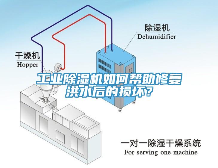 工業(yè)除濕機(jī)如何幫助修復(fù)洪水后的損壞？