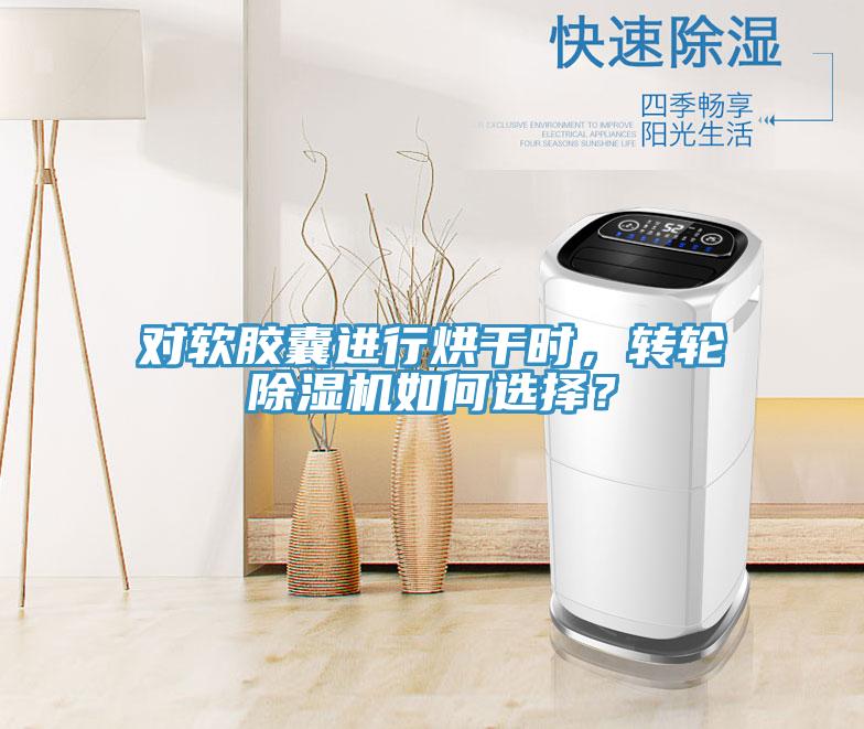 對軟膠囊進行烘干時，轉輪除濕機如何選擇？