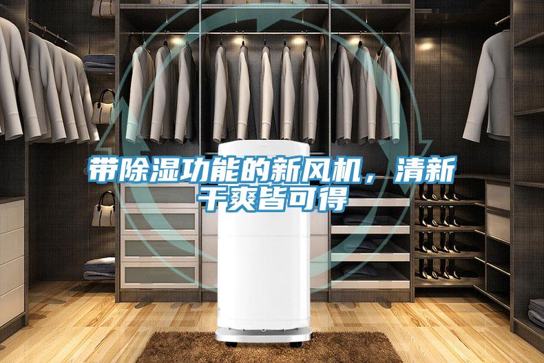帶除濕功能的新風機，清新干爽皆可得