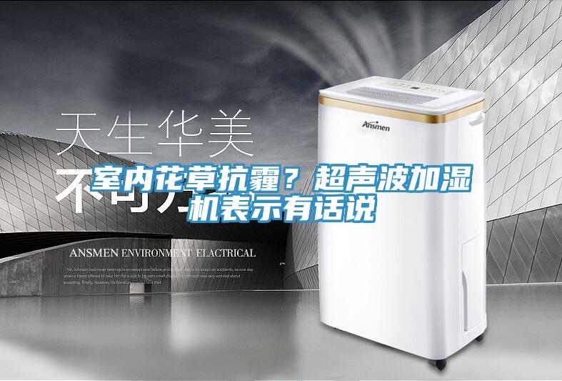 室內(nèi)花草抗霾？超聲波加濕機表示有話說