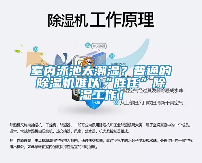 室內(nèi)泳池太潮濕？普通的除濕機(jī)難以“勝任”除濕工作！