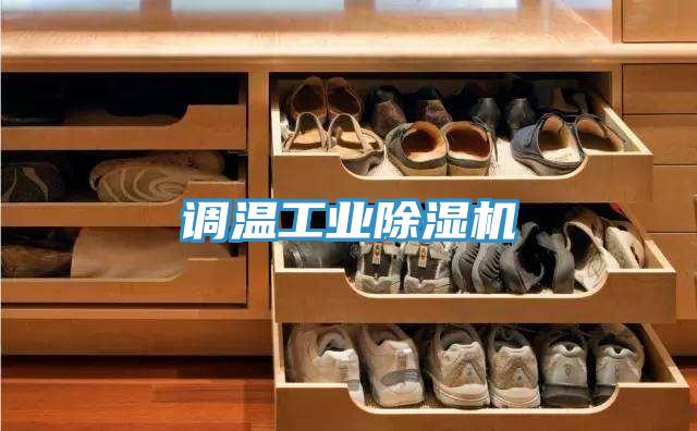 調(diào)溫工業(yè)除濕機(jī)