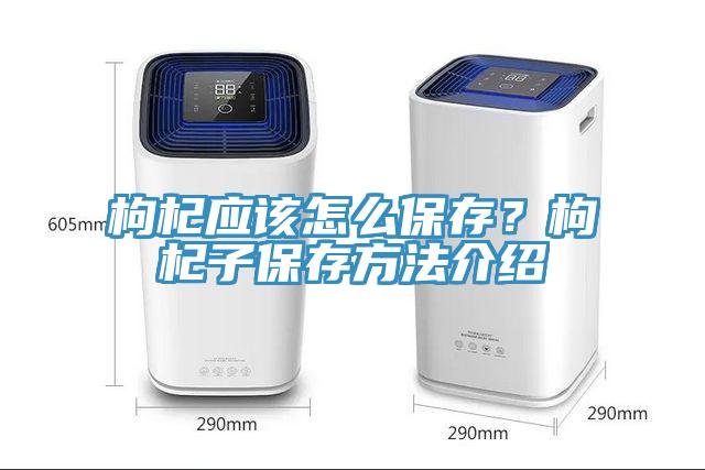 枸杞應(yīng)該怎么保存？枸杞子保存方法介紹