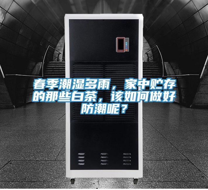 春季潮濕多雨，家中貯存的那些白茶，該如何做好防潮呢？