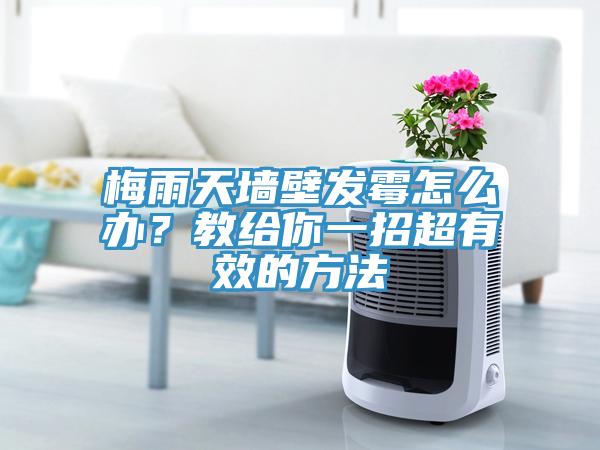 梅雨天墻壁發(fā)霉怎么辦？教給你一招超有效的方法