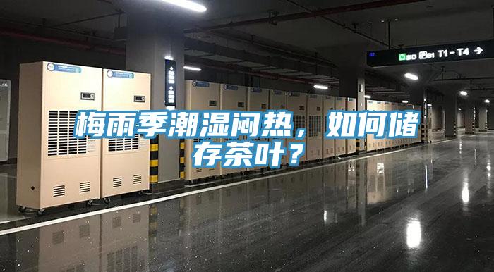 梅雨季潮濕悶熱，如何儲(chǔ)存茶葉？