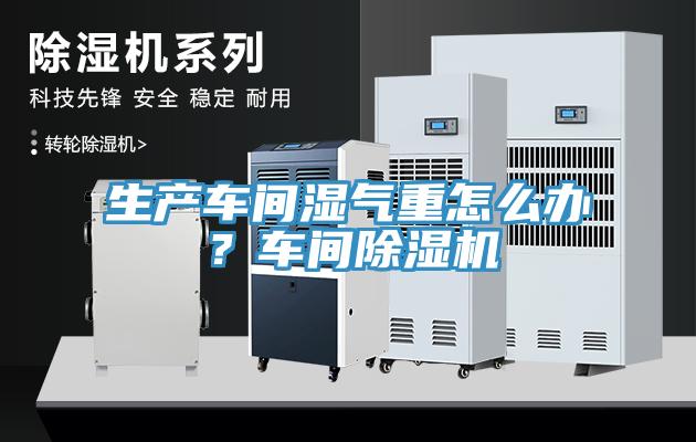 生產(chǎn)車間濕氣重怎么辦？車間除濕機(jī)