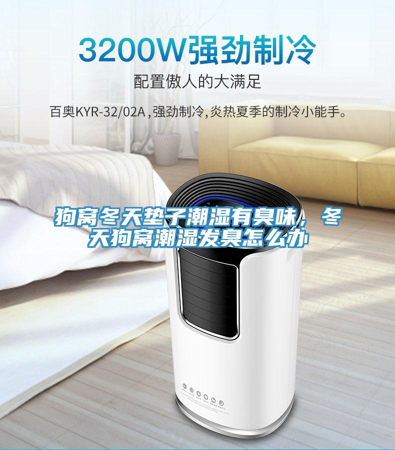 狗窩冬天墊子潮濕有臭味，冬天狗窩潮濕發(fā)臭怎么辦