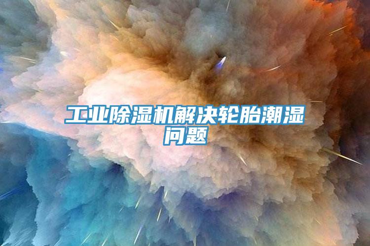 工業(yè)除濕機解決輪胎潮濕問題