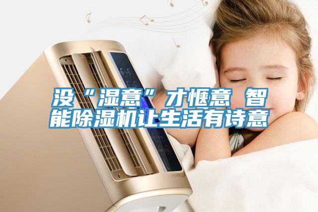 沒“濕意”才愜意 智能除濕機(jī)讓生活有詩(shī)意