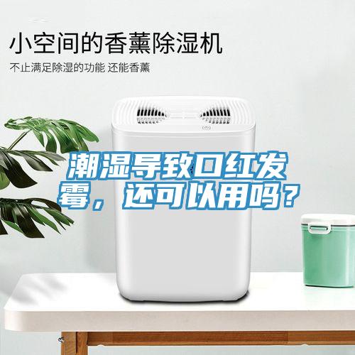 潮濕導(dǎo)致口紅發(fā)霉，還可以用嗎？