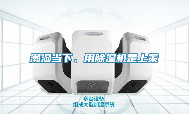 潮濕當(dāng)下，用除濕機(jī)是上策