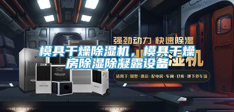 模具干燥除濕機，模具干燥房除濕除凝露設(shè)備
