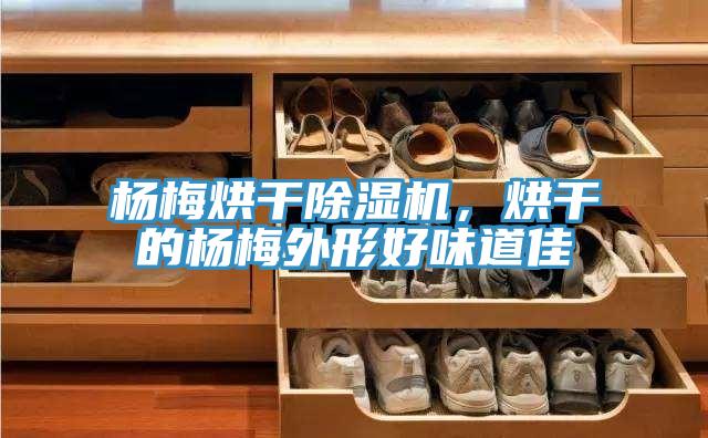 楊梅烘干除濕機(jī)，烘干的楊梅外形好味道佳
