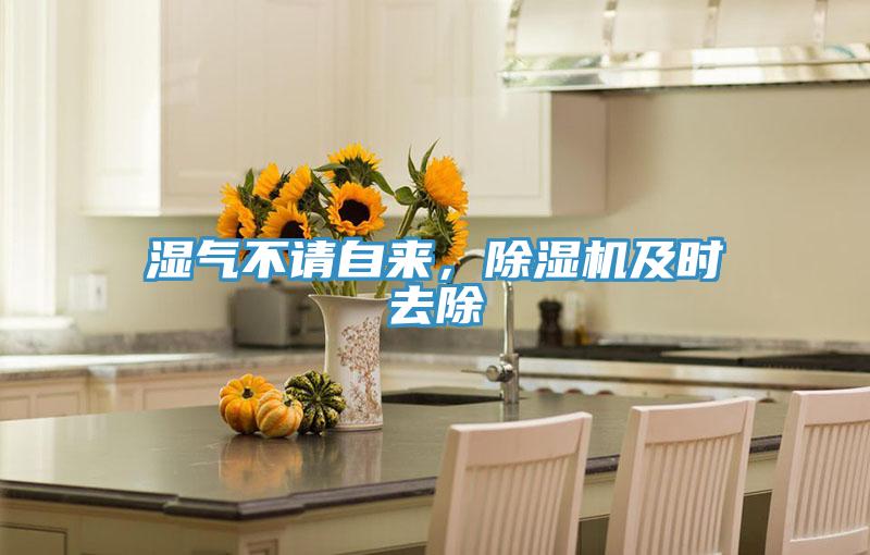 濕氣不請(qǐng)自來，除濕機(jī)及時(shí)去除