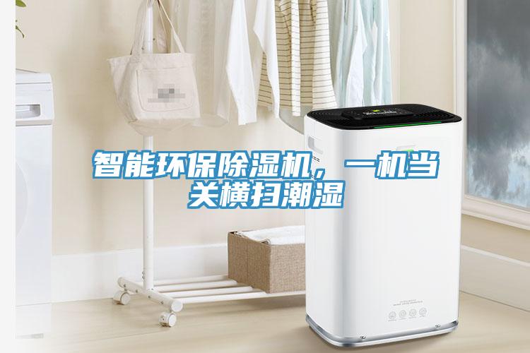 智能環(huán)保除濕機(jī)，一機(jī)當(dāng)關(guān)橫掃潮濕