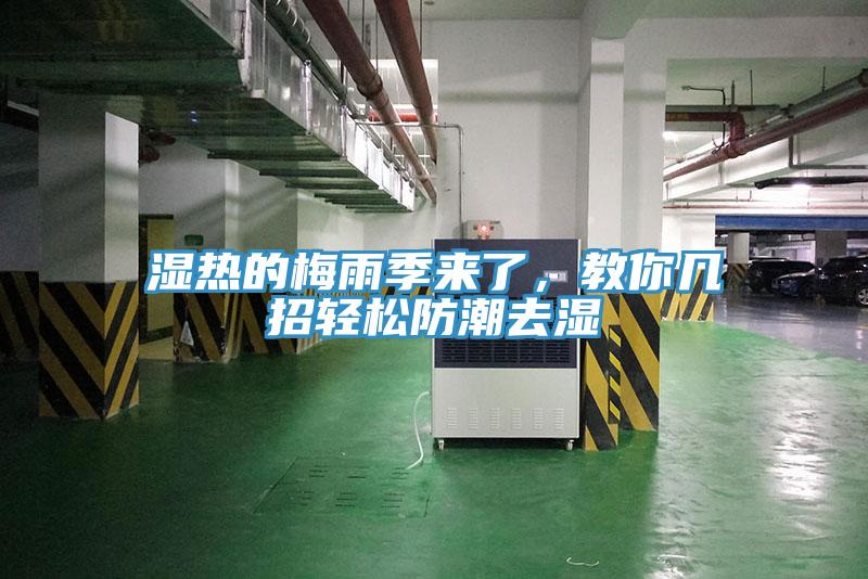 濕熱的梅雨季來了，教你幾招輕松防潮去濕