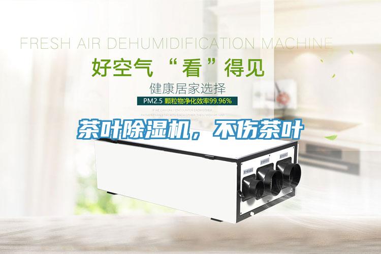 茶葉除濕機，不傷茶葉