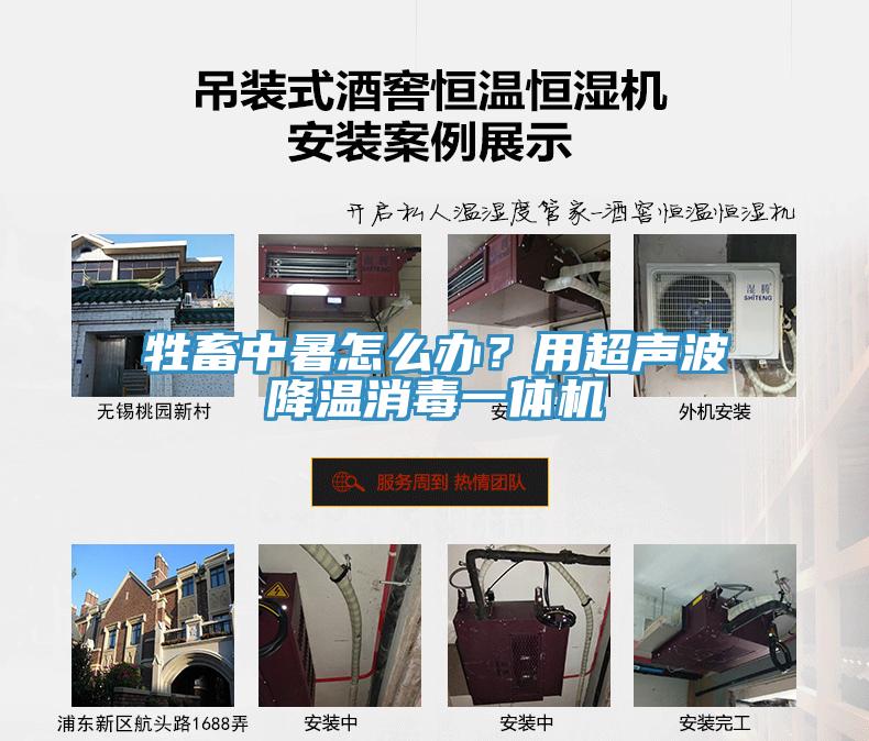 牲畜中暑怎么辦？用超聲波降溫消毒一體機(jī)