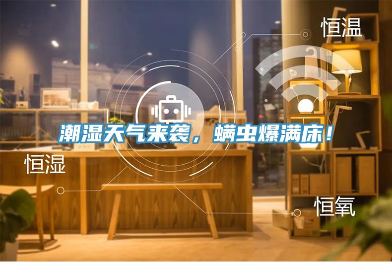 潮濕天氣來(lái)襲，螨蟲(chóng)爆滿床！
