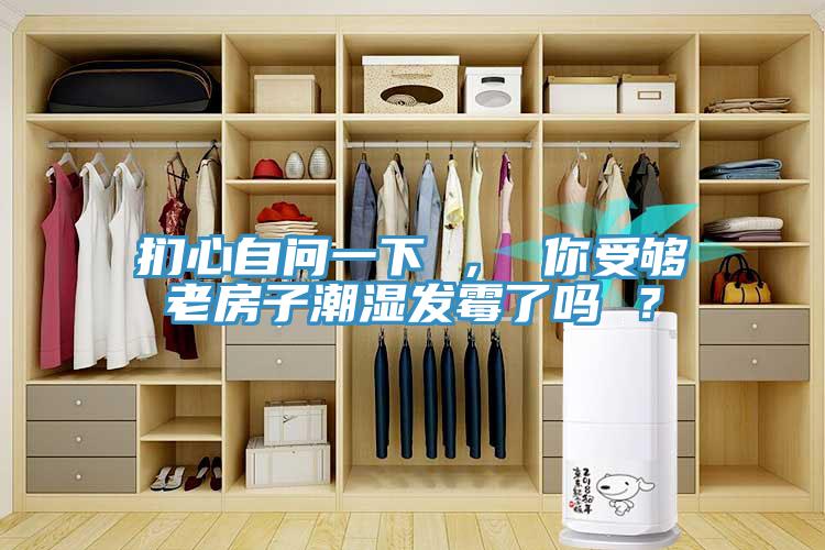 捫心自問一下 ， 你受夠老房子潮濕發(fā)霉了嗎 ？