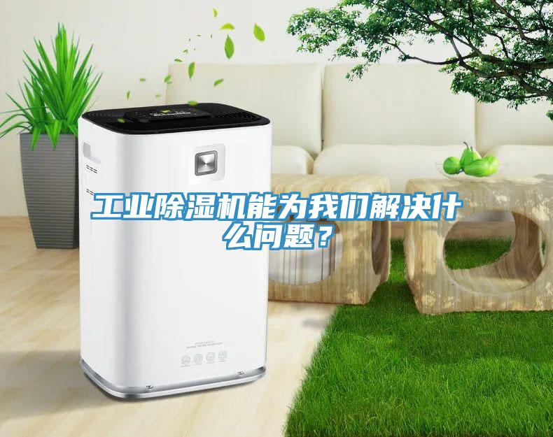 工業(yè)除濕機(jī)能為我們解決什么問(wèn)題？