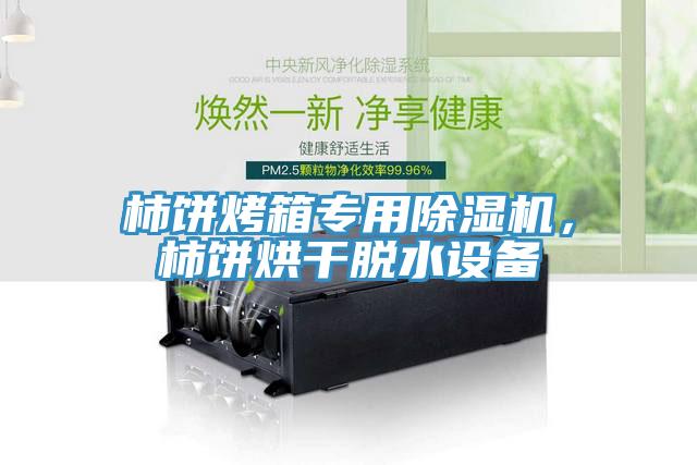 柿餅烤箱專(zhuān)用除濕機(jī)，柿餅烘干脫水設(shè)備