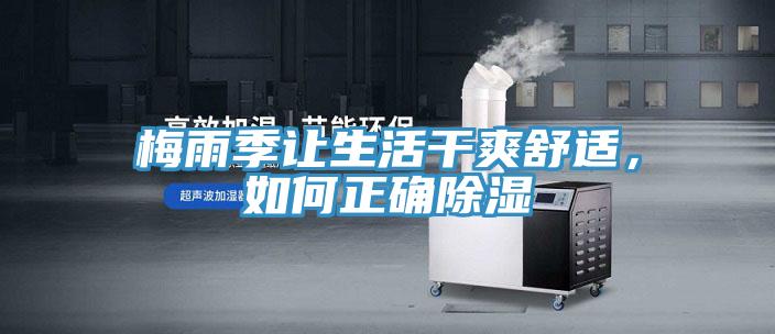 梅雨季讓生活干爽舒適，如何正確除濕