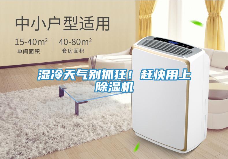 濕冷天氣別抓狂！趕快用上除濕機