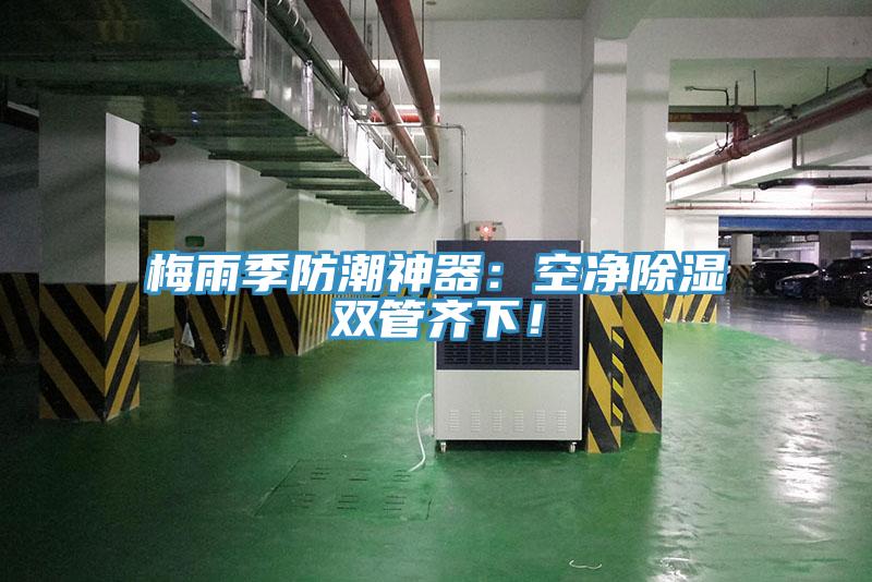 梅雨季防潮神器：空凈除濕雙管齊下！