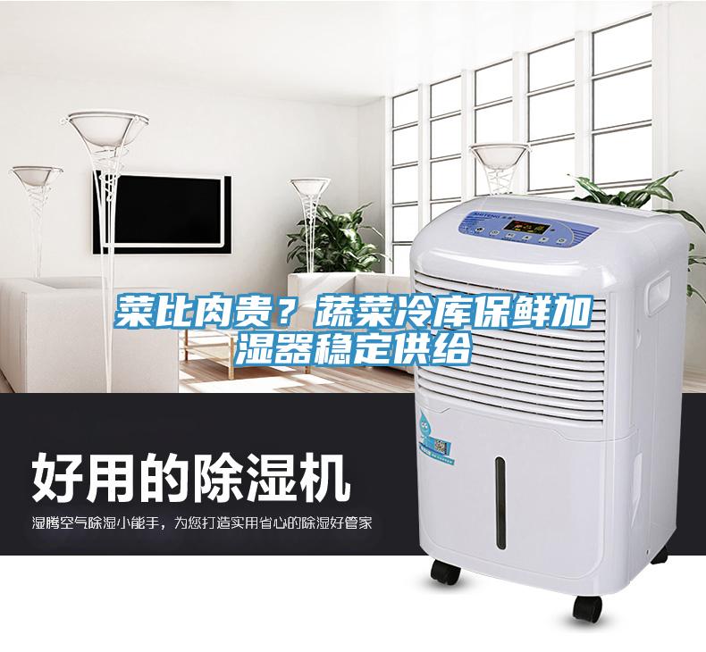 菜比肉貴？蔬菜冷庫(kù)保鮮加濕器穩(wěn)定供給