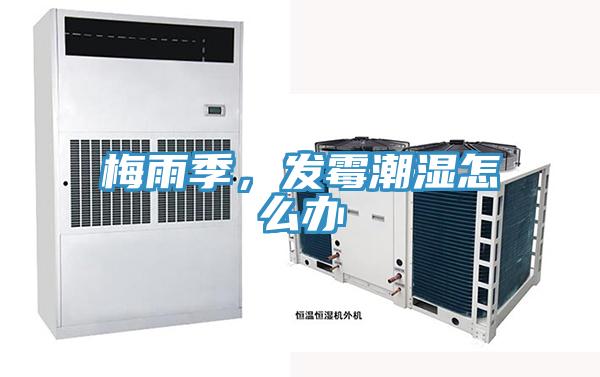 梅雨季，發(fā)霉潮濕怎么辦