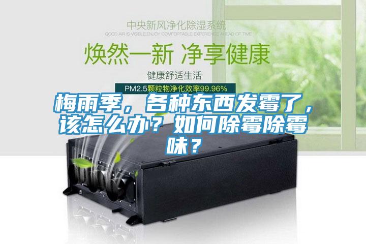 梅雨季，各種東西發(fā)霉了，該怎么辦？如何除霉除霉味？
