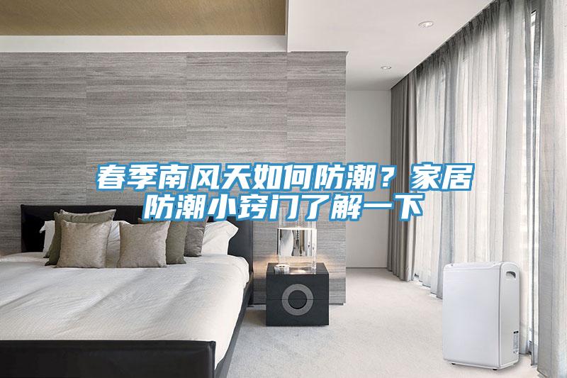 春季南風(fēng)天如何防潮？家居防潮小竅門了解一下