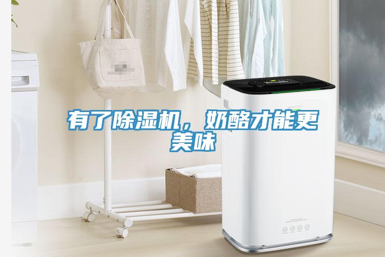 有了除濕機(jī)，奶酪才能更美味