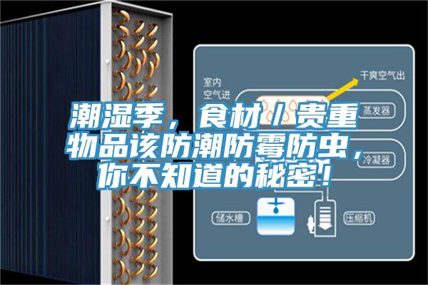 潮濕季，食材／貴重物品該防潮防霉防蟲，你不知道的秘密！