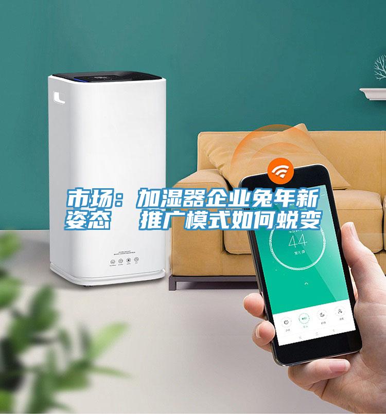 市場：加濕器企業(yè)兔年新姿態(tài)  推廣模式如何蛻變