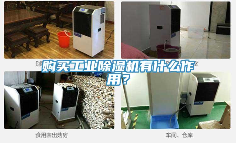 購(gòu)買(mǎi)工業(yè)除濕機(jī)有什么作用？