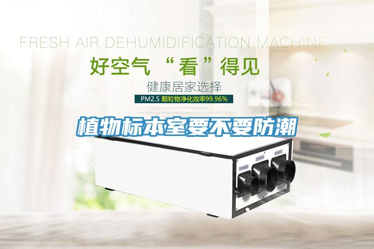 植物標(biāo)本室要不要防潮