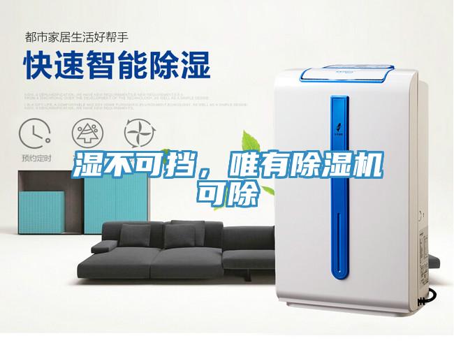 濕不可擋，唯有除濕機(jī)可除