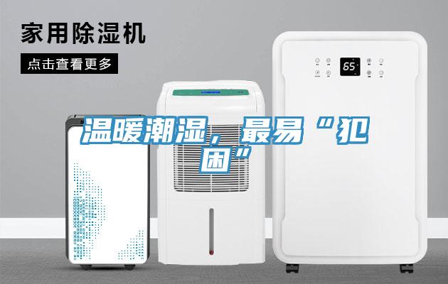 溫暖潮濕，最易“犯困”
