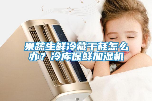 果蔬生鮮冷藏干耗怎么辦？冷庫(kù)保鮮加濕機(jī)