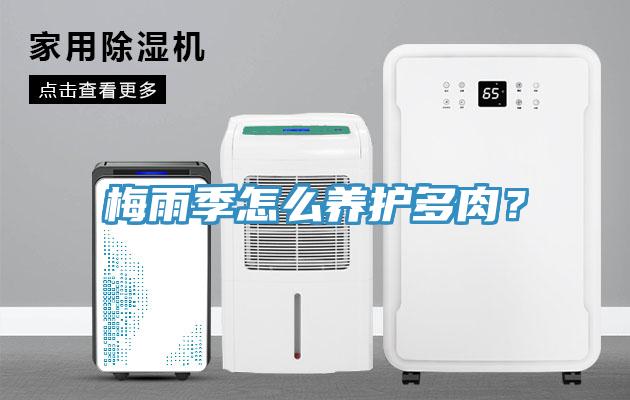 梅雨季怎么養(yǎng)護多肉？