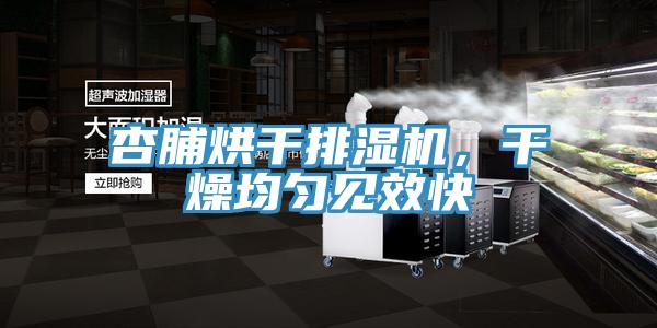 杏脯烘干排濕機，干燥均勻見效快